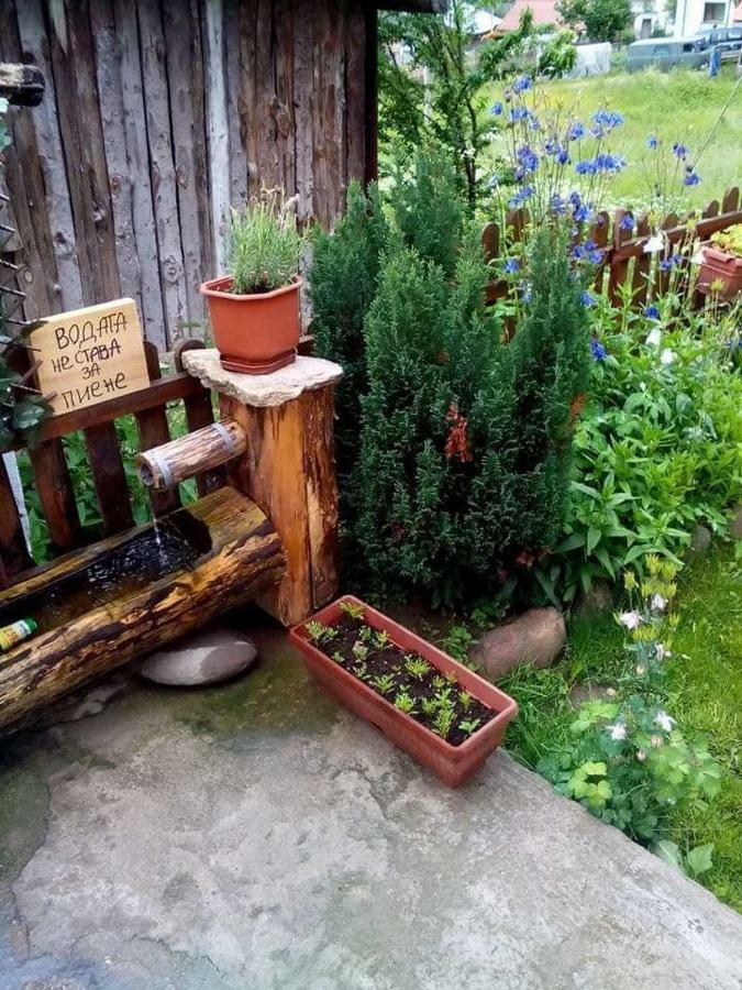 Вила Здравец Yagodina Eksteriør billede