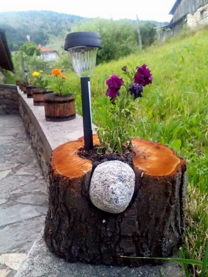 Вила Здравец Yagodina Eksteriør billede